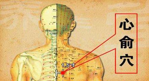 心俞的准确位置图作用 按摩缓解心痛让你安心睡个好觉