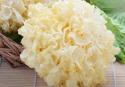 儿童能吃银耳吗 儿童吃银耳有什么好处