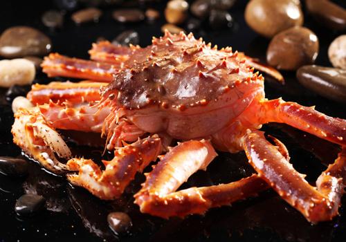 为什么帝王蟹只吃腿 帝王蟹哪些部位可以吃