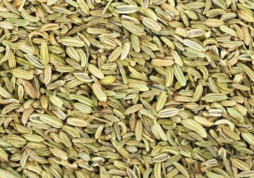小茴香的营养价值