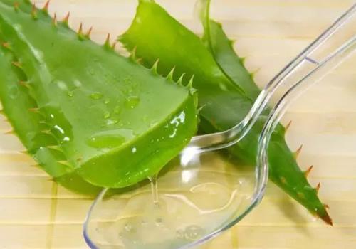 涂了新鲜芦荟要洗掉吗 涂完新鲜芦荟后怎么洗掉