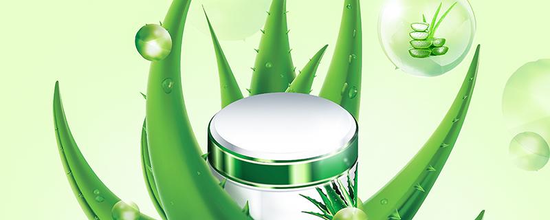 芦荟胶的作用和功效可以去痘痘吗 芦荟胶可以去除疤痕吗