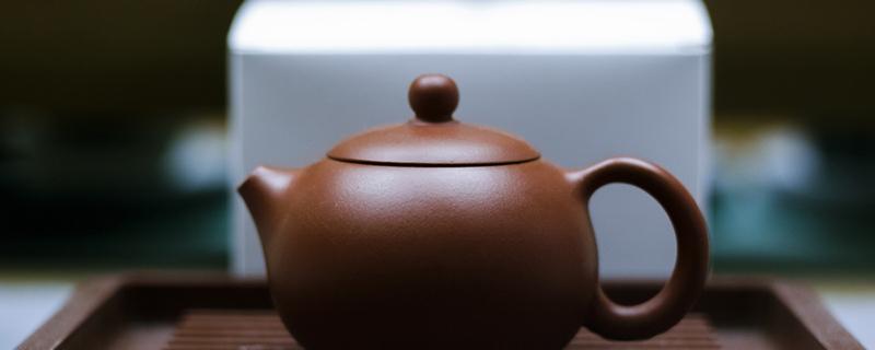 玉兰根茶有什么功效 玉兰根茶有哪些好处