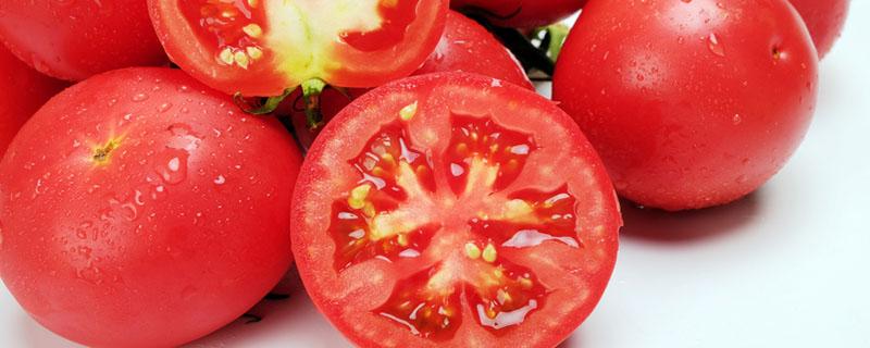 番茄煮熟皮就皱了是为什么 番茄皮能吃吗