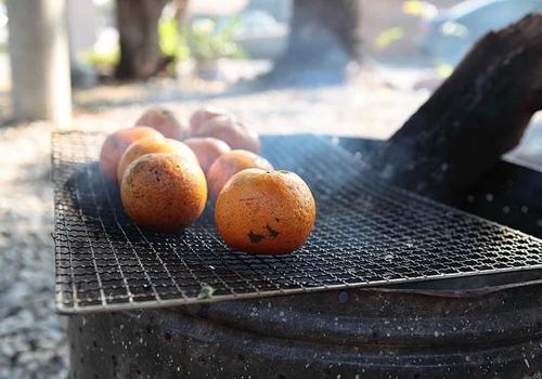 烤橘子能够治儿童咳嗽吗