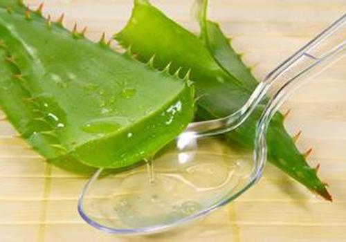 用芦荟胶之前要洗脸吗 为什么用芦荟胶前要洗脸
