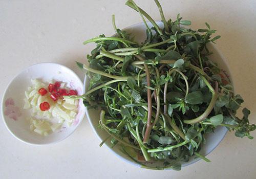 马齿苋怀孕吃了危险吗 孕妇吃了马齿苋怎么办