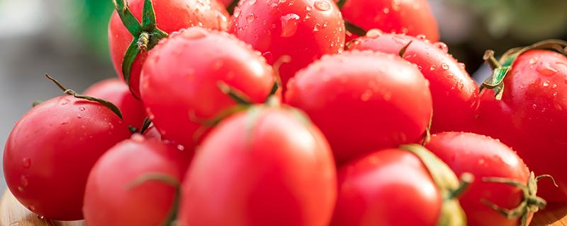 西红柿可以美白皮肤吗 西红柿可以减肥吗