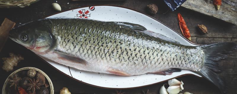 腊鱼腌制几天就可以晒 腊鱼晒到什么程度好