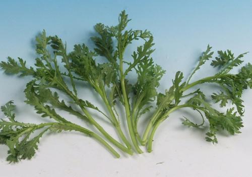 茼蒿是发物吗 吃茼蒿有什么好处