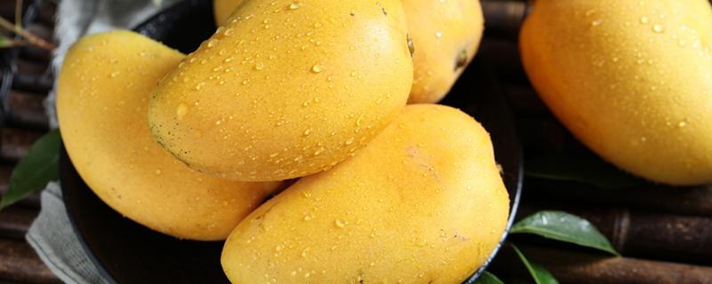 芒果可以和菠萝蜜一起吃吗 芒果可以和鸡蛋一起吃吗
