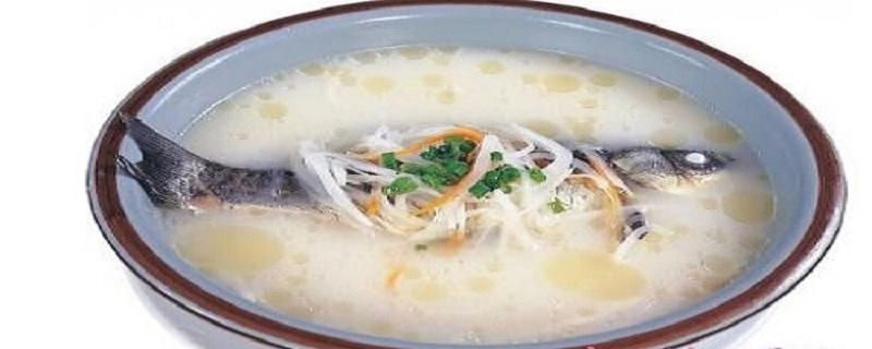 通草鲫鱼汤的功效与作用