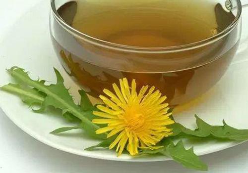 蒲公英可以和什么搭配更好,全身毒素都赶跑