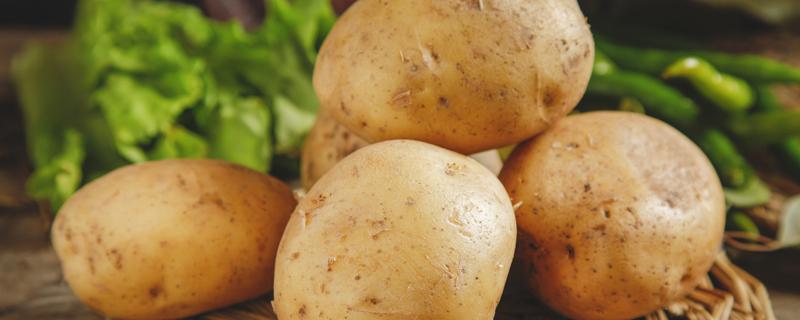 土豆丝隔夜如何保存 土豆丝切好过夜有毒吗