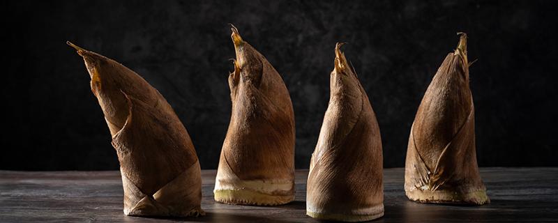 冬笋什么时候开始采挖 7月份竹笋可以挖到吗