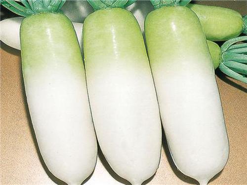 白萝卜的药用价值 萝卜5种吃法最养人