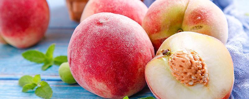 鲜桃如何保鲜和存放 鲜桃可以冷冻保存吗