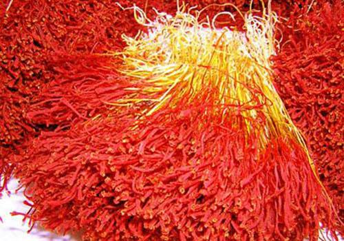 藏红花的营养价值