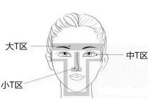 T区是哪个部位