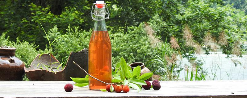 杨梅酒可以天天喝吗 杨梅酒冬天能喝吗