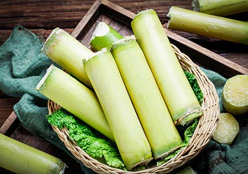 在家甘蔗怎么去皮 甘蔗怎么吃起来干净