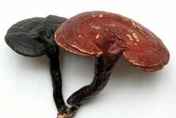 美容吃什么好 这两种食物吃对了,水嫩肌肤养成一点都不难!