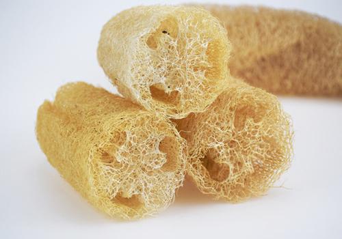 丝瓜对身体有什么好处 99%的人拿它当“洗碗布”，却不道它浑身是宝！