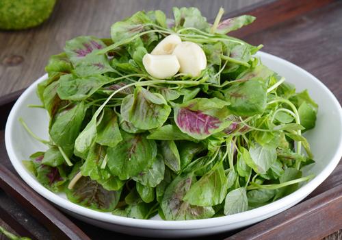 吃苋菜会过敏吗 这种人千万别碰苋菜