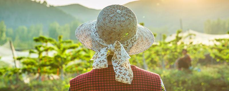 戴帽子可以防止被晒黑吗 戴帽子还要涂防晒吗