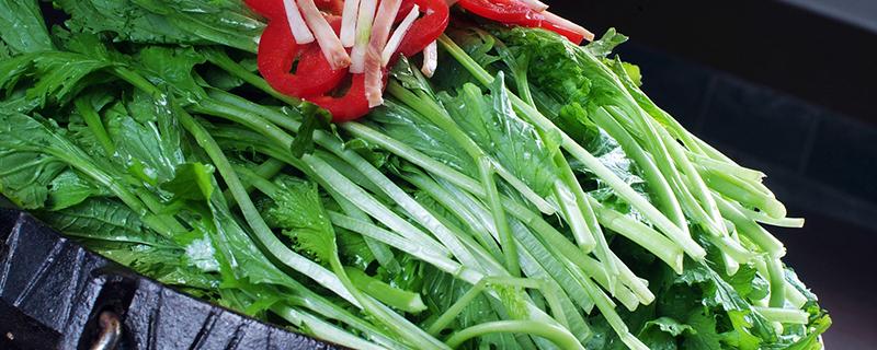 茼蒿有点苦是怎么回事 茼蒿怎么做不会苦