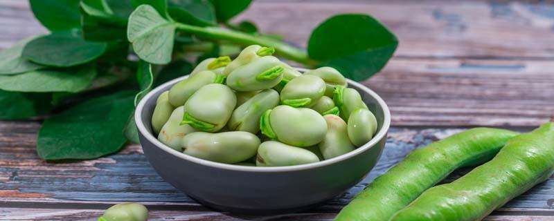 蚕豆的功效与作用禁忌 蚕豆是酸性食物还是碱性食物