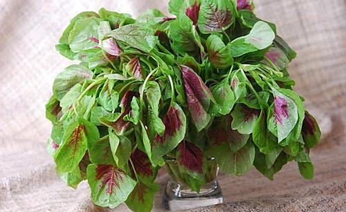 什么蔬菜不能生吃 这些蔬菜要远离