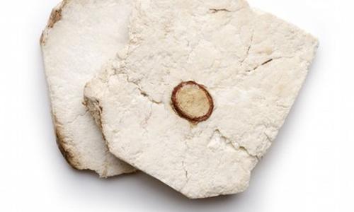 茯苓和茯神有什么区别 茯苓和茯神怎样吃最好