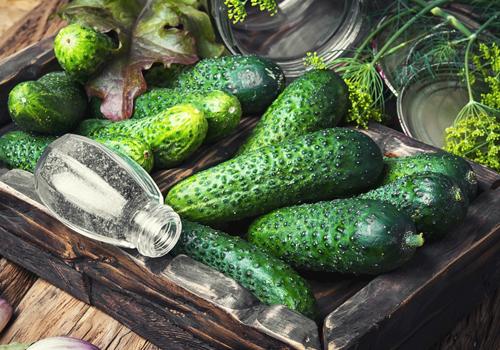 黄瓜和猪肝能一起吃吗 猪肝千万别和这些东西一起吃