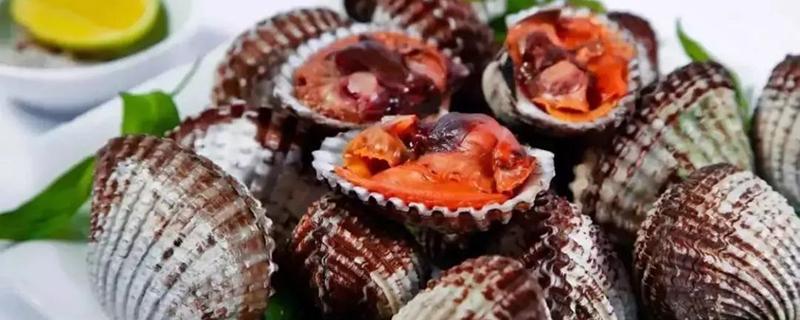 海鲜血蛤怎么吃 血蛤吃的是哪个部位