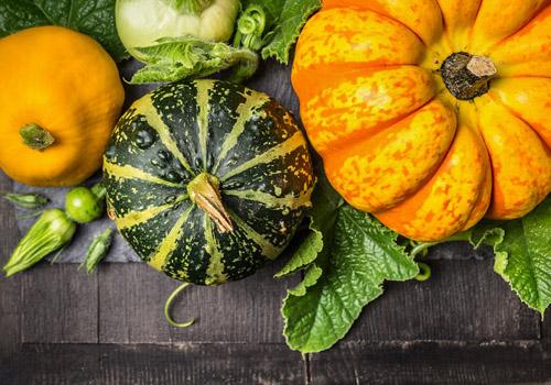 哺乳期吃南瓜会回奶吗 哺乳期可以吃南瓜吗