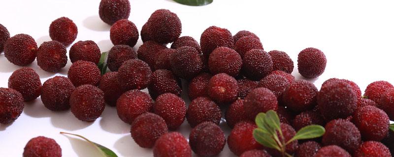 杨梅泡酒后还能再泡吗 杨梅泡酒后还可以吃吗