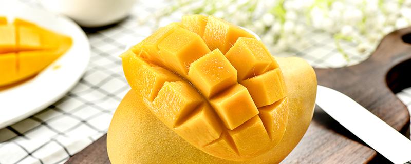 芒果和酸奶能一起吃吗 芒果和酸奶怎么一起吃