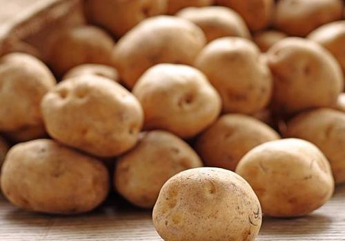 土豆有点发青还能吃吗 吃发芽的土豆有什么危害