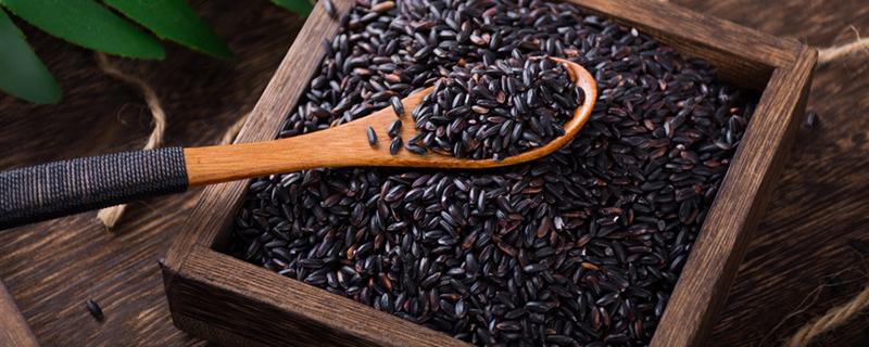 紫米热量高为什么还适合减肥 紫米和米饭哪个热量高