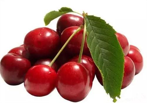 孕妇能吃樱桃吗 孕妇吃樱桃有哪些好处