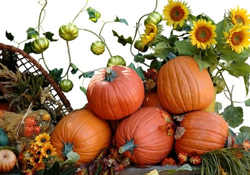 吃南瓜有什么好处 常吃南瓜原来有这么多好处