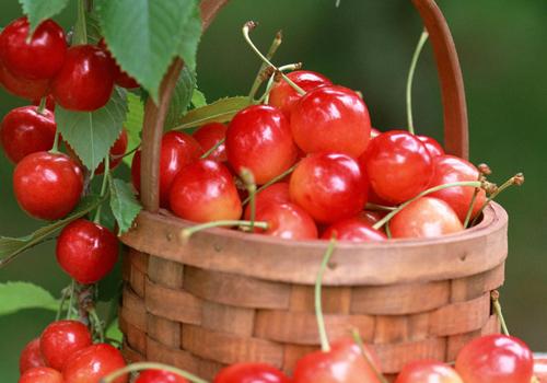 吃什么去皱纹最有效 脸上长皱纹就吃它