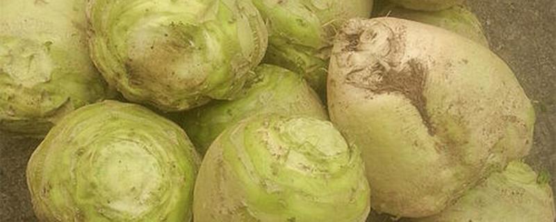 芥菜丝怎样腌制好吃 腌好的芥菜丝怎么拌好吃