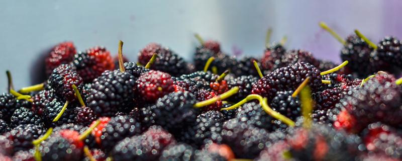 坐月子可以吃桑葚吗 坐月子吃桑葚有什么好处