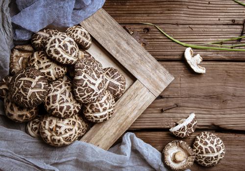 哺乳期可以吃香菇吗 香菇吃了会回奶吗