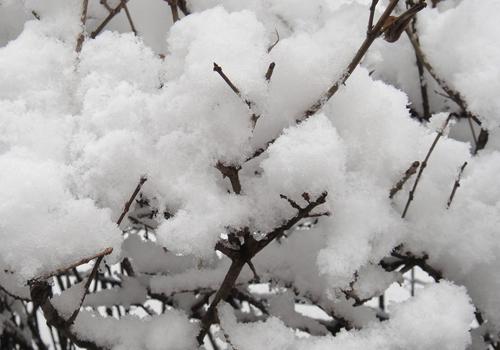 红眼病有什么偏方(中医治疗红眼病偏方)