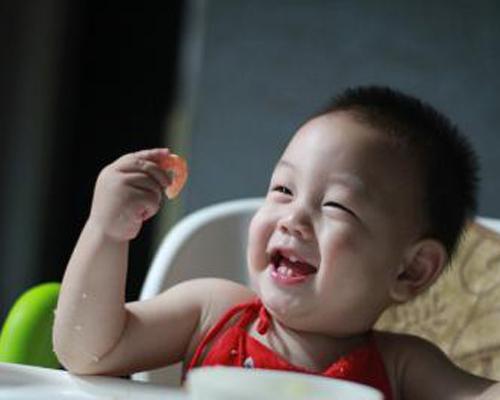 婴儿辅食虾的做法（婴儿辅食虾的做法10个月）