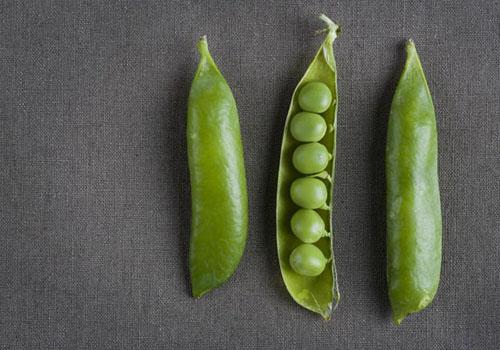 食物中毒怎么办（食物中毒怎么办最快的方法）