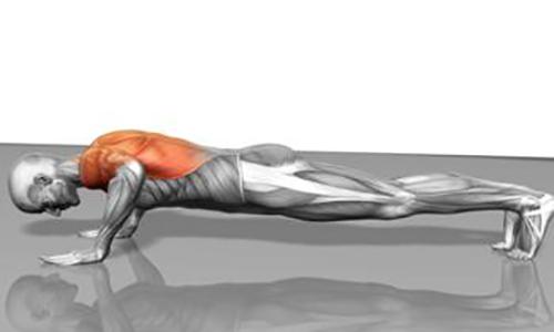 男生一天做多少俯卧撑(男生一天做多少俯卧撑合格)